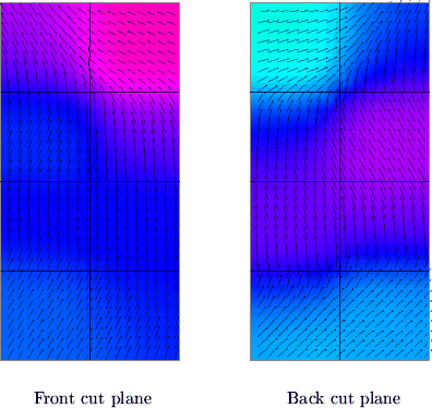 \begin{figure}
 \centering
 \subfigure[Front cut plane]{
 \includegraphics[scale...
 ...ack cut plane]{
 \includegraphics[scale=0.41]{fig/hexf3.rem2.eps}
 }\end{figure}